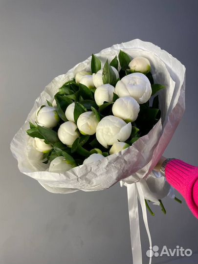 Пионы оптом с юга