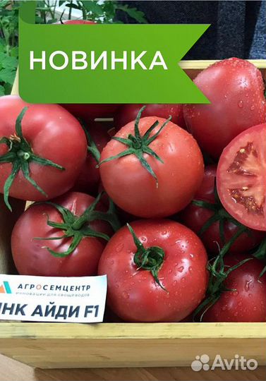 Семена Томата 