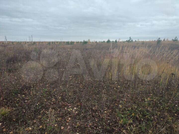 Участок 6 сот. (ИЖС)