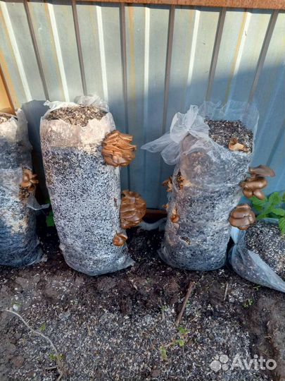 Минеральные удобрения