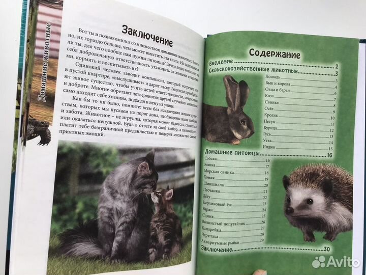 Книги детские энциклопедии