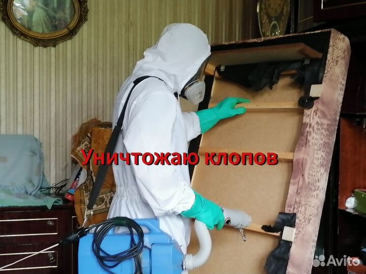 Уничтожение насекомых.Обработка от клопов
