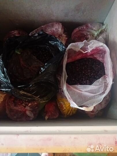 Смородина черная и красная