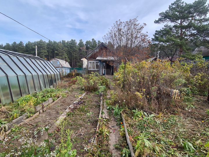 Участок 6,3 сот. (СНТ, ДНП)