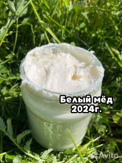 Мед аккураевый