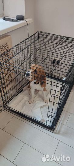 Вольер для собак и щенков