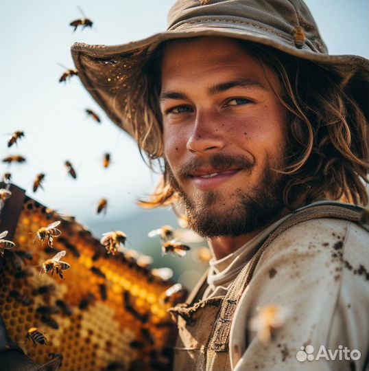 Мед натуральный с Алтая опт от 16 кг