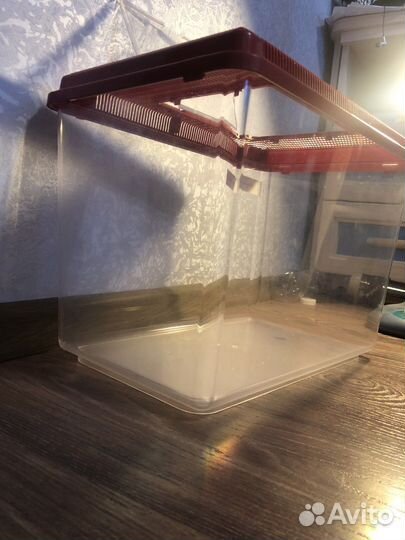 Террариум для рептилий