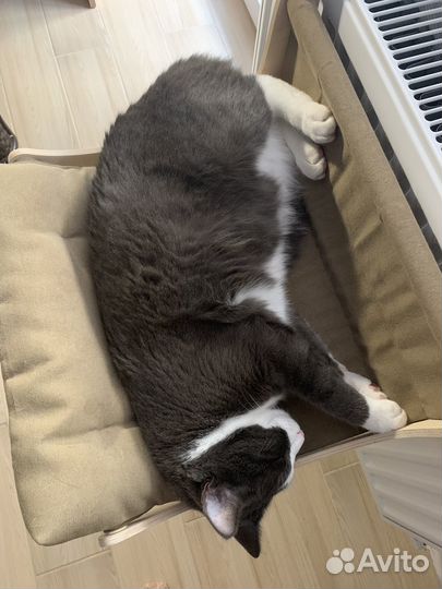 Гамак на батарею для кота)