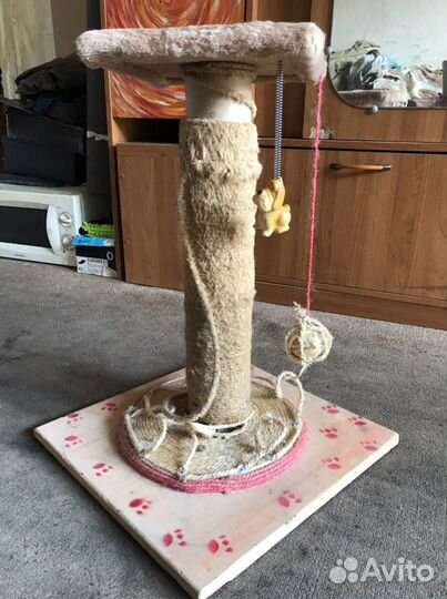 Когтеточка