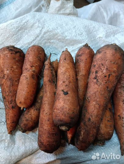 Капуста, перец, тыква, овощи