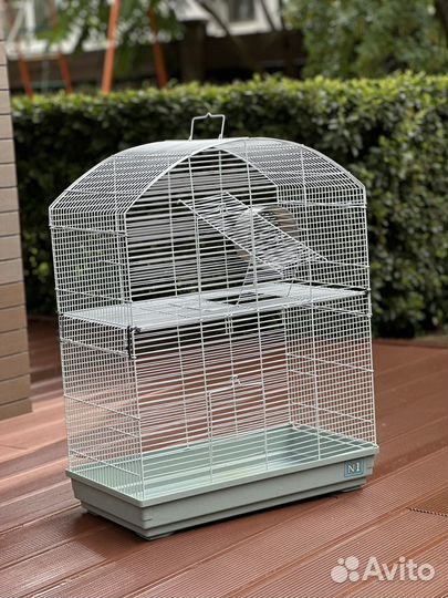 Клетка для грызунов бесплатно отдам