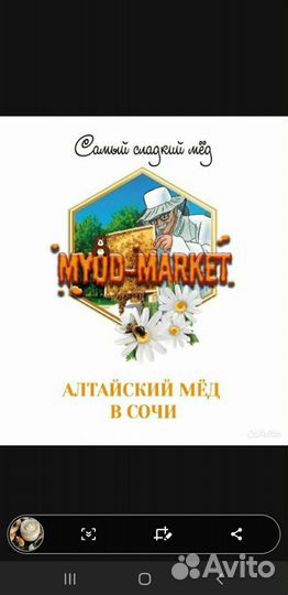Мед Липовый 2023