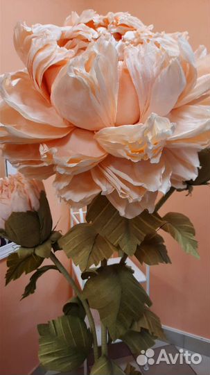 Цветок для интерьера