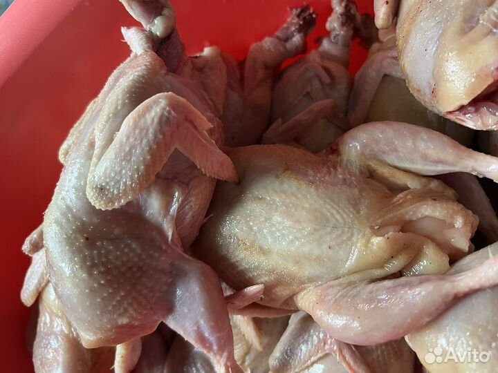 Мясо перепелов