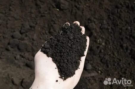 Перегной (в мешках )