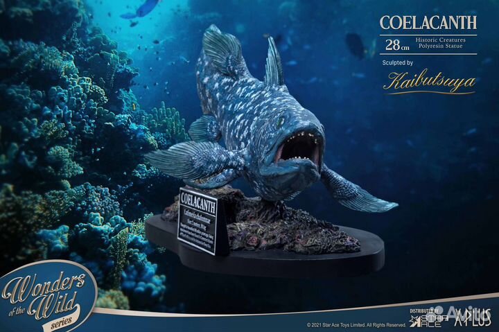 Coelacanth
