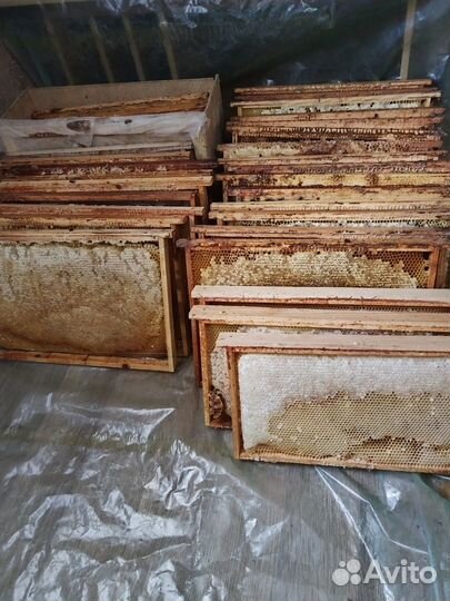 Мед в сотах оптом