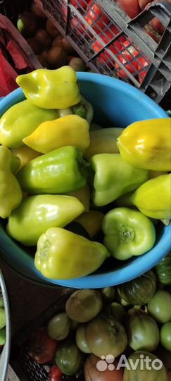 Огурцы, помидоры, кабачки, яйцо куриное