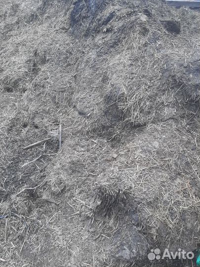 Навоз козий