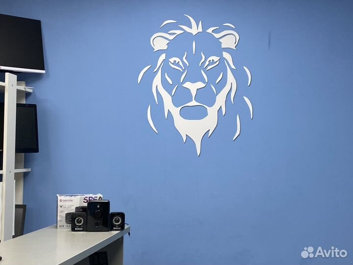 Акустика для компьютера Defender 11W новая