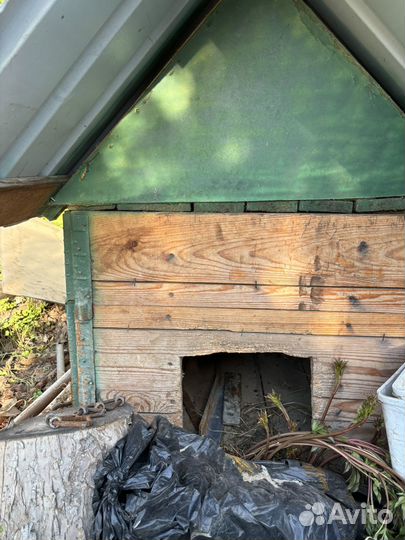 Собачья будка