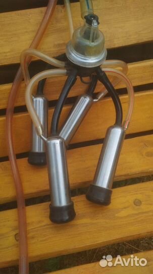 Доильный аппарат