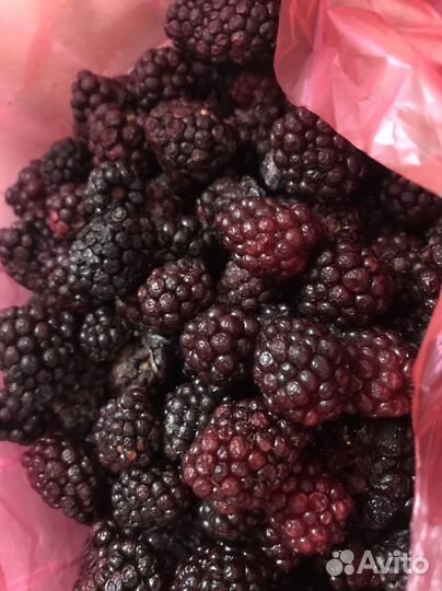 Облепиха, клюква, брусника, белый гриб из Карелии