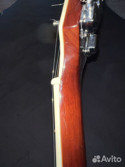 Акустическая гитара Naranda TG120CTS