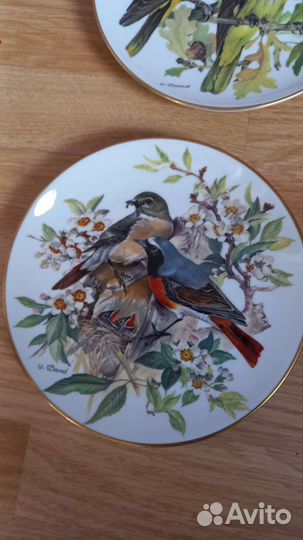 Настенная тарелка