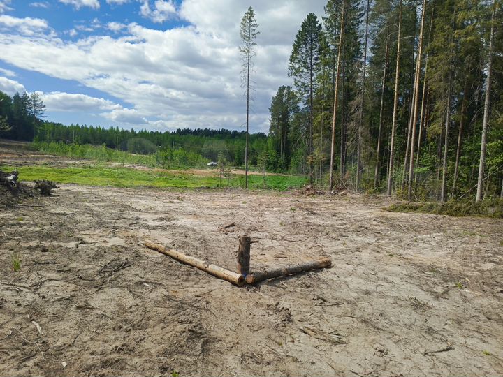 Участок 8,5 сот. (ИЖС)