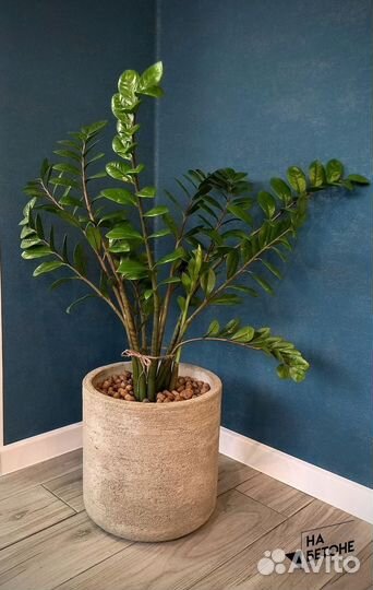 Кашпо, Вазоны, горшки для цветов