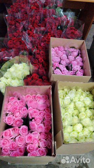 Срезанные Розы напрямую из теплиц цветы