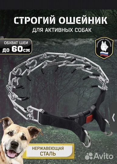 Строгий ошейник для собак