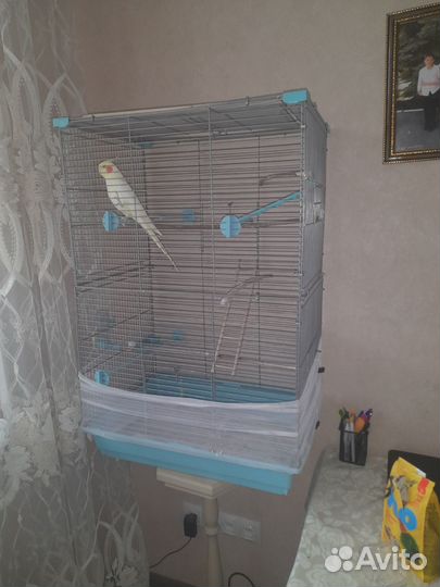 Клетка для попугая корелла