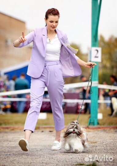 Хендлер/кинолог