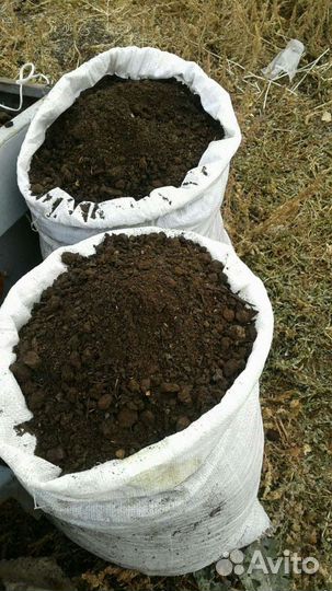 Перегной коровий