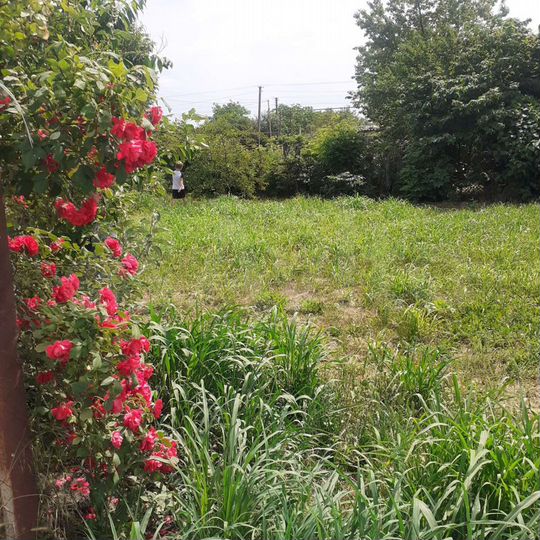 Дом 37 м² на участке 6 сот.