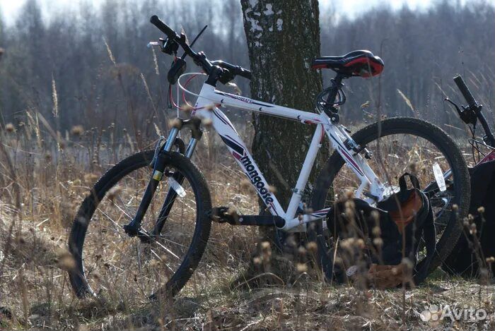 Велосипед взрослый