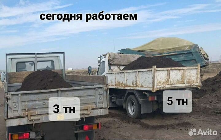 Земля чернозем