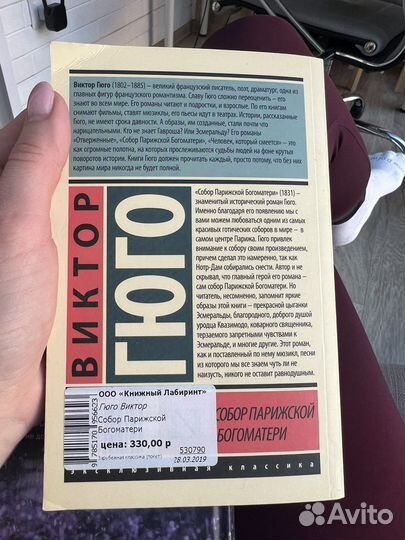 Книга Собор Парижской Богоматери