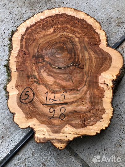 Слебы спилы