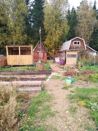 Участок 6 сот. (СНТ, ДНП)