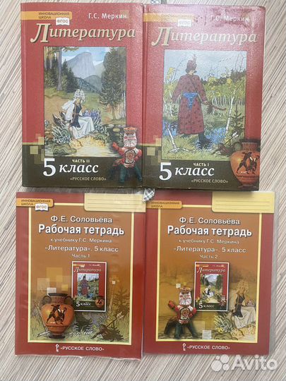 Литература 5 класс Меркин