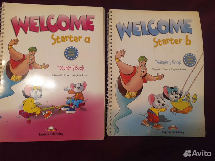 Welcome starter a, b teacher's book
