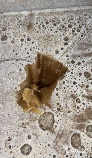 Мед оптом с Алтая 2023