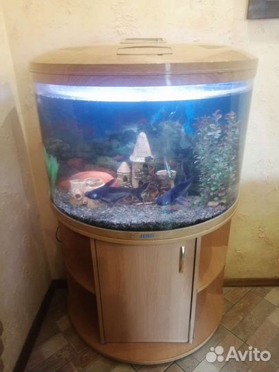 Аквариум с тумбой jebo