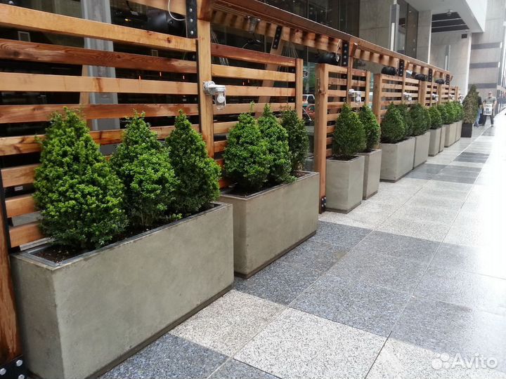 Вазон большой