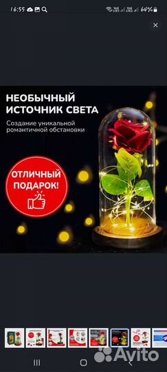 Стабилизированная Вечная роза в колбе