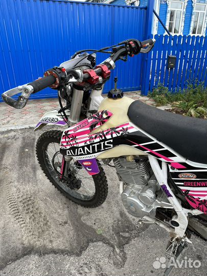 Avantis FX 250 Lux